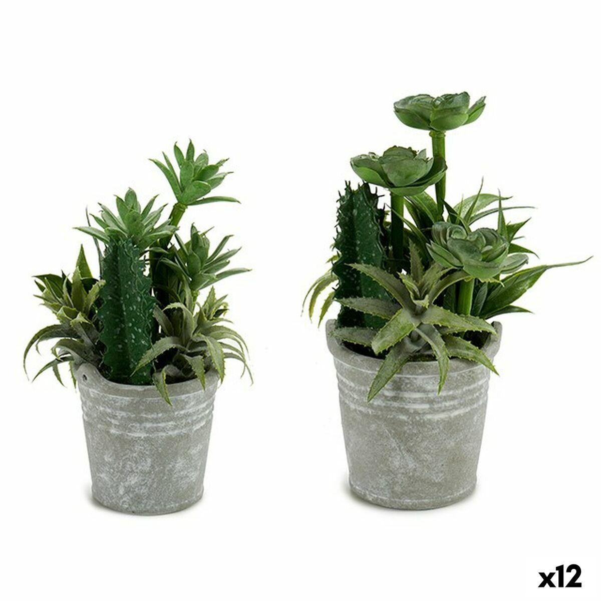 Ibergarden Dekorativ Plante I Potte Plastik/cement 15 × 24 × 15 Cm 12 Enheder
