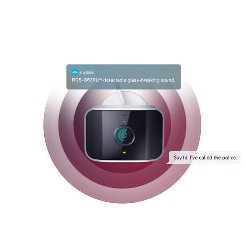Videokamera til overvågning D-Link DCS-8620LH