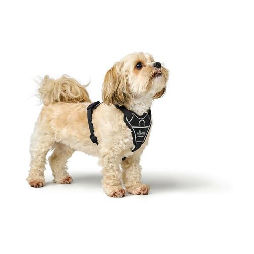 Hundesele Hunter DIVO UP Sort S/M
