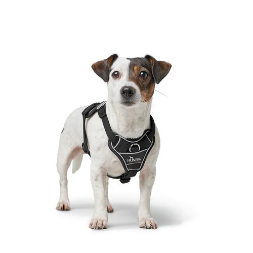 Hundesele Hunter DIVO UP Sort S/M