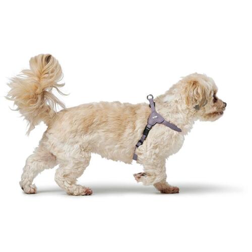 Hundesele Hunter SOHO MINI Syren XXS/XS