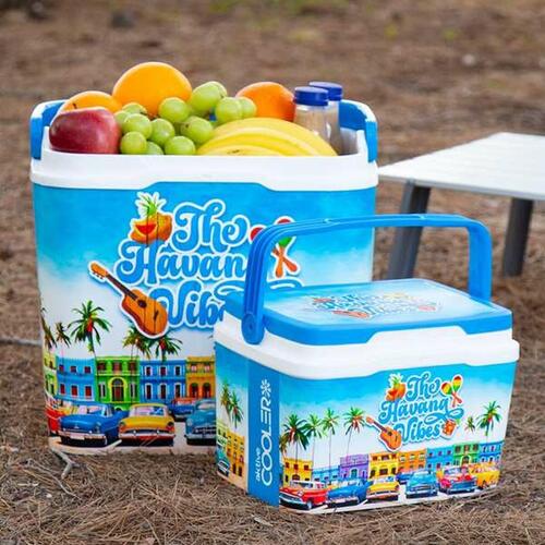 Transportabel Køleboks Aktive The Havana Vibes 24 L