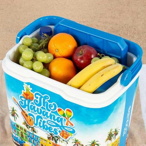 Transportabel Køleboks Aktive The Havana Vibes 24 L