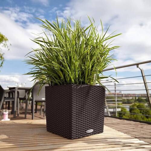 LECHUZA plantekrukke CUBE Cottage 40 ALL-IN-ONE mokkafarvet
