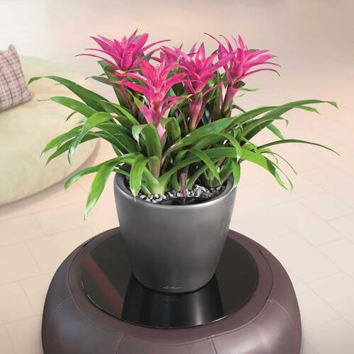 LECHUZA plantekrukke CLASSICO LS 35 ALL-IN-ONE metallisk sort 16063