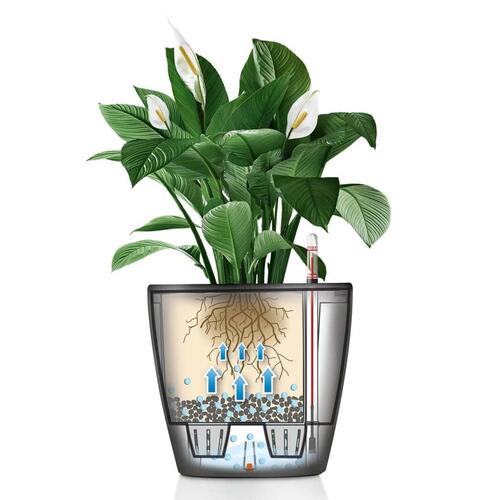 LECHUZA plantekrukke CLASSICO LS 35 ALL-IN-ONE metallisk sort 16063
