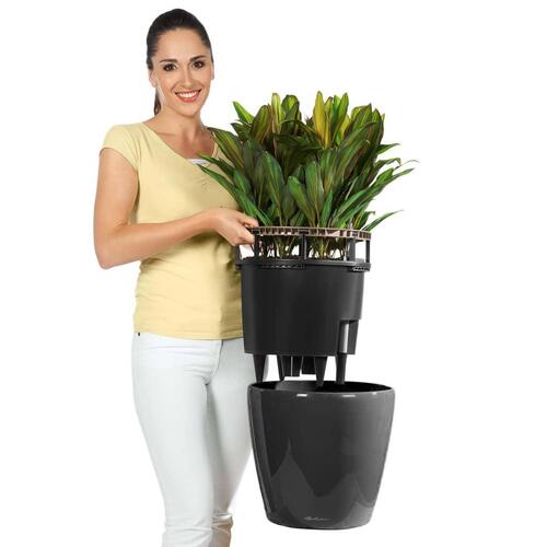 LECHUZA plantekrukke CLASSICO LS 35 ALL-IN-ONE metallisk sort 16063