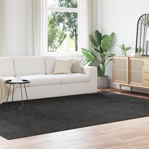 Langhåret Tæppe med Latex Bagside Mørkegrå 240x340 cm