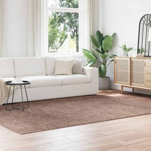 Shaggy Tæppe med Latexbund Brun 200x290 cm