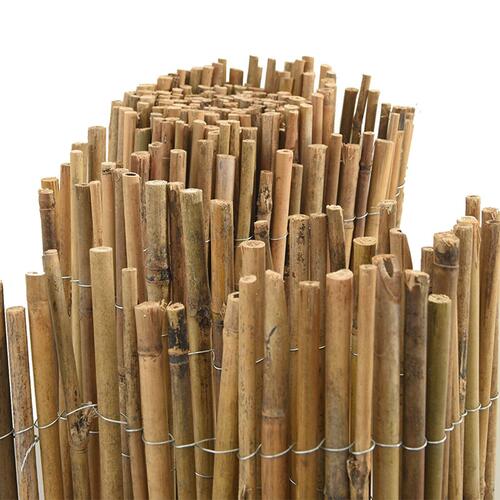 Bambu Hegn 300x180 cm