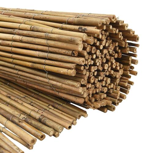 Bambu Hegn 300x180 cm