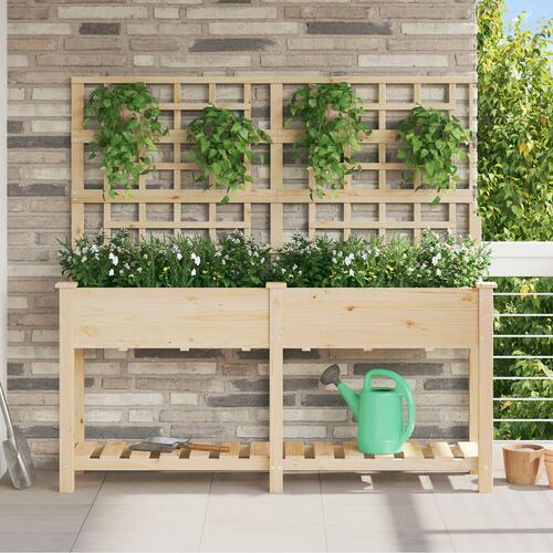 Haveplantekasse med espalier og hylde 161x43x152 cm Solid fyrretræ