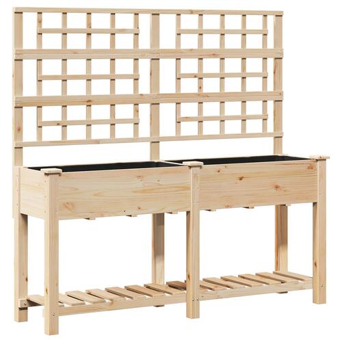 Haveplantekasse med espalier og hylde 161x43x152 cm Solid fyrretræ