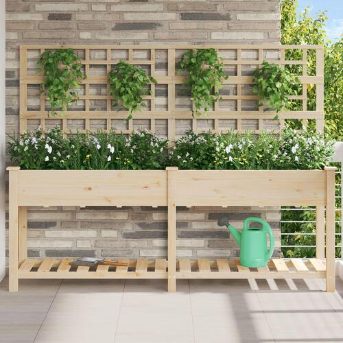 Haveplantekasse med Gitter & Hylde 203x53x152 cm Massivt Fyrretræ