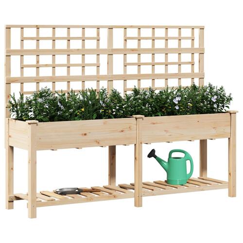 Haveplantekasse med Gitter & Hylde 203x53x152 cm Massivt Fyrretræ