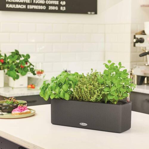 LECHUZA plantekasse CUBE color triple med beslag antracitgrå 13684