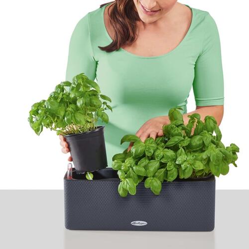 LECHUZA plantekasse CUBE color triple med beslag antracitgrå 13684