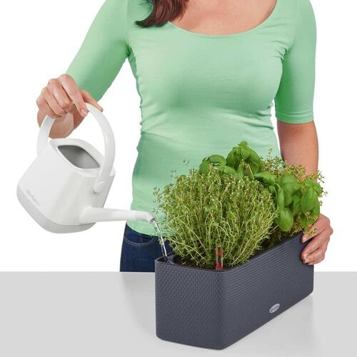 LECHUZA plantekasse CUBE color triple med beslag antracitgrå 13684