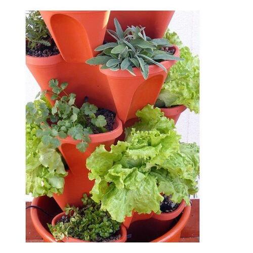 Hydroponisk dyrkningssæt Irisana Ecogarden EG10 Plastik Terrakotta
