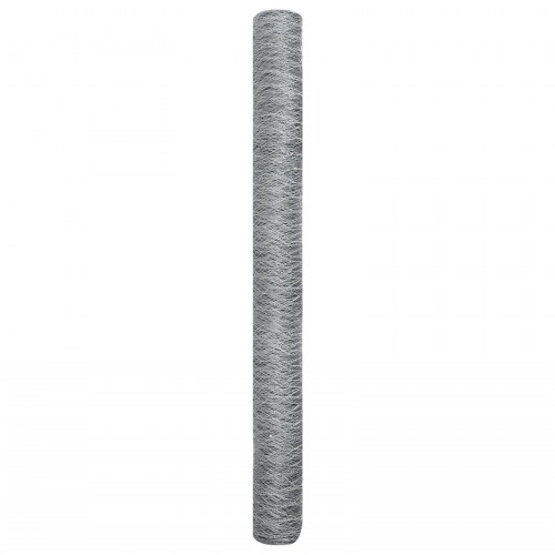 Hexagon Hegn 1.5x100 m Galvaniseret Stål