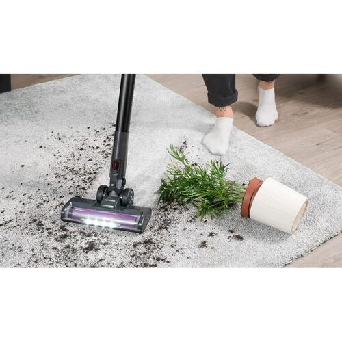 Concept VP6250 stavstøvsuger 500 W - uden pose, sort