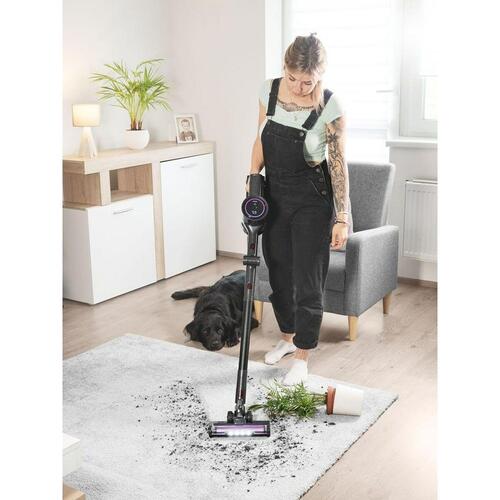 Concept VP6250 stavstøvsuger 500 W - uden pose, sort