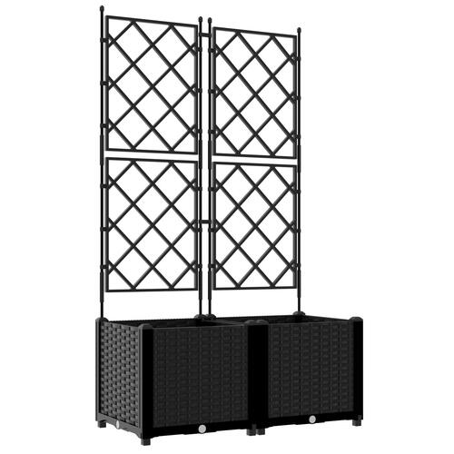 Haveplante med Trellis 2 stk Sort 80x40x143 cm