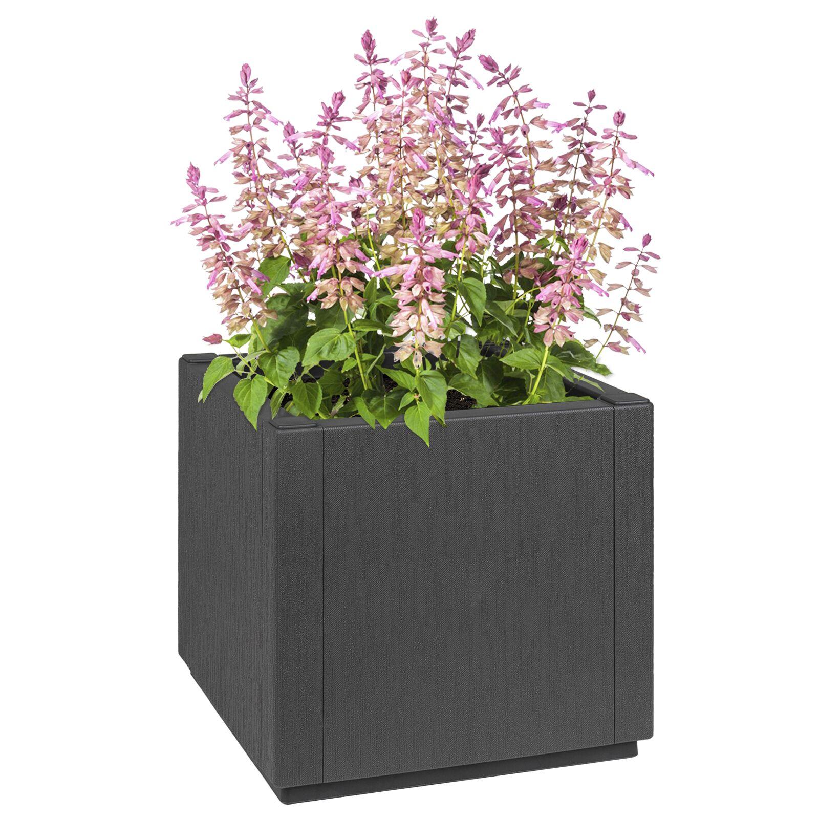 Have Blomsterkrukke Antracit 36 x 36 x 35 cm Polypropylen