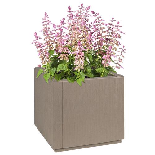 Haveplante Lys Brun 36x36x35 cm PP