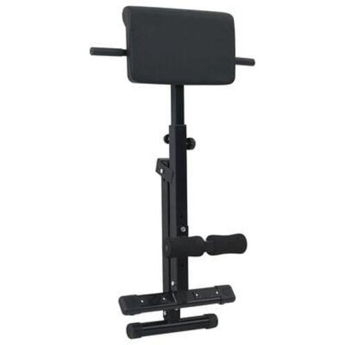 Hyperextension Bænk 120 kg Sammenfoldelig og Justerbar Stål