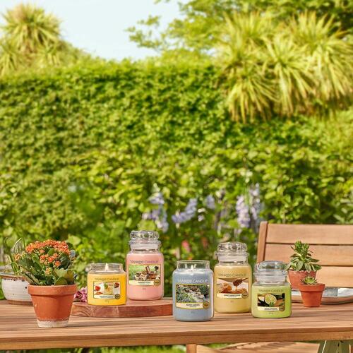 Yankee Candle duftlys - Calamansi Cocktail, glas 411 g