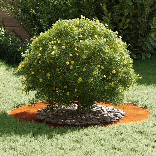 Corten stål planter Corten stål Stor Dekorative indlæg Sæt med 5