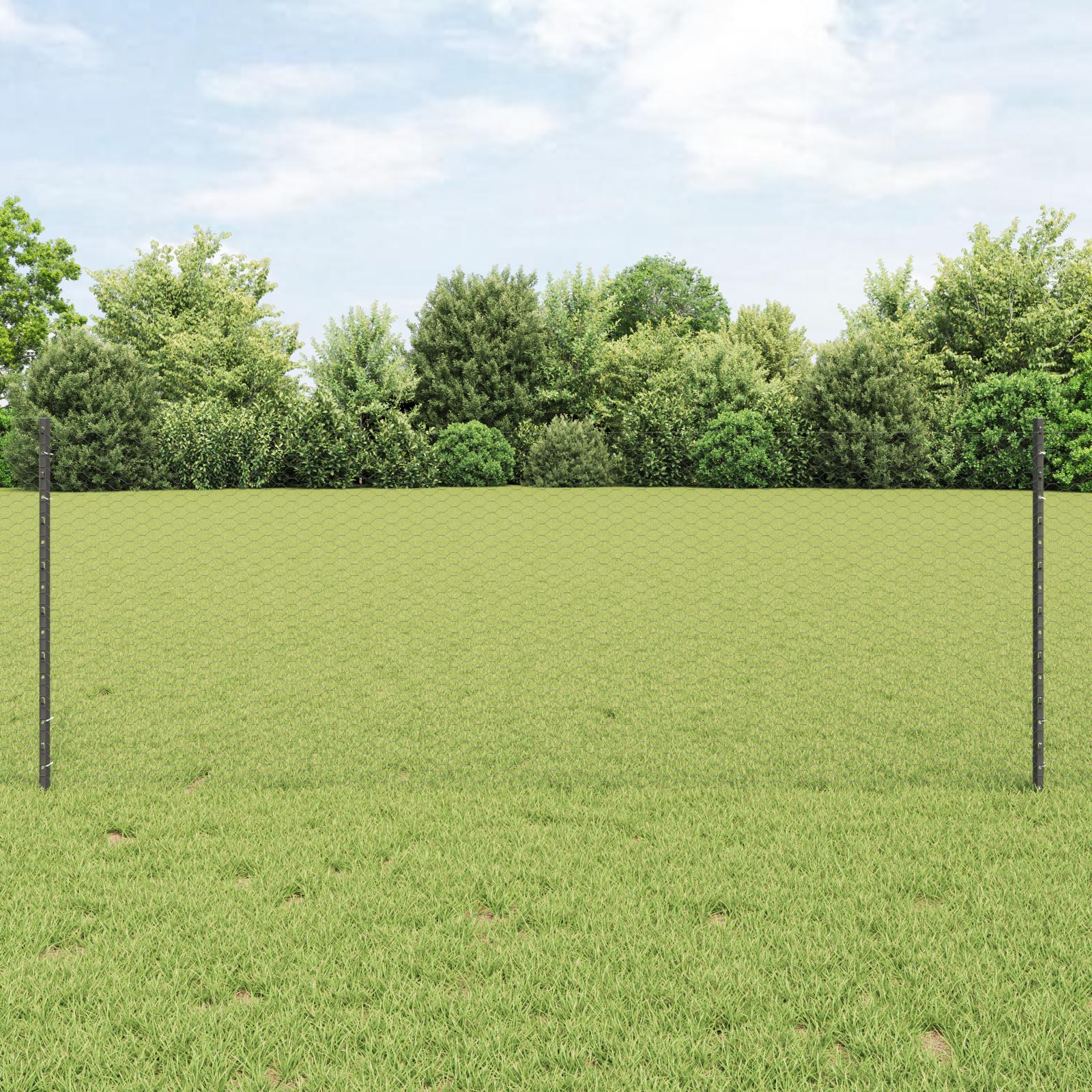 Svejset trådhegn 50 × 0,8 m - PVC-belagt stål i grå mesh
