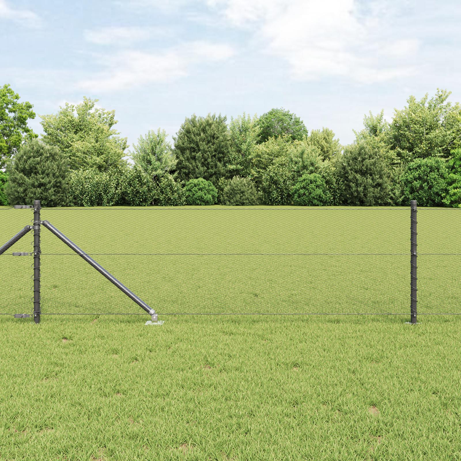 Svejset trådhegn med spidser 10 × 0,6 m - PVC-belagt stål