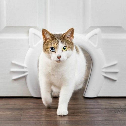Kattelem PetSafe - hvid plast