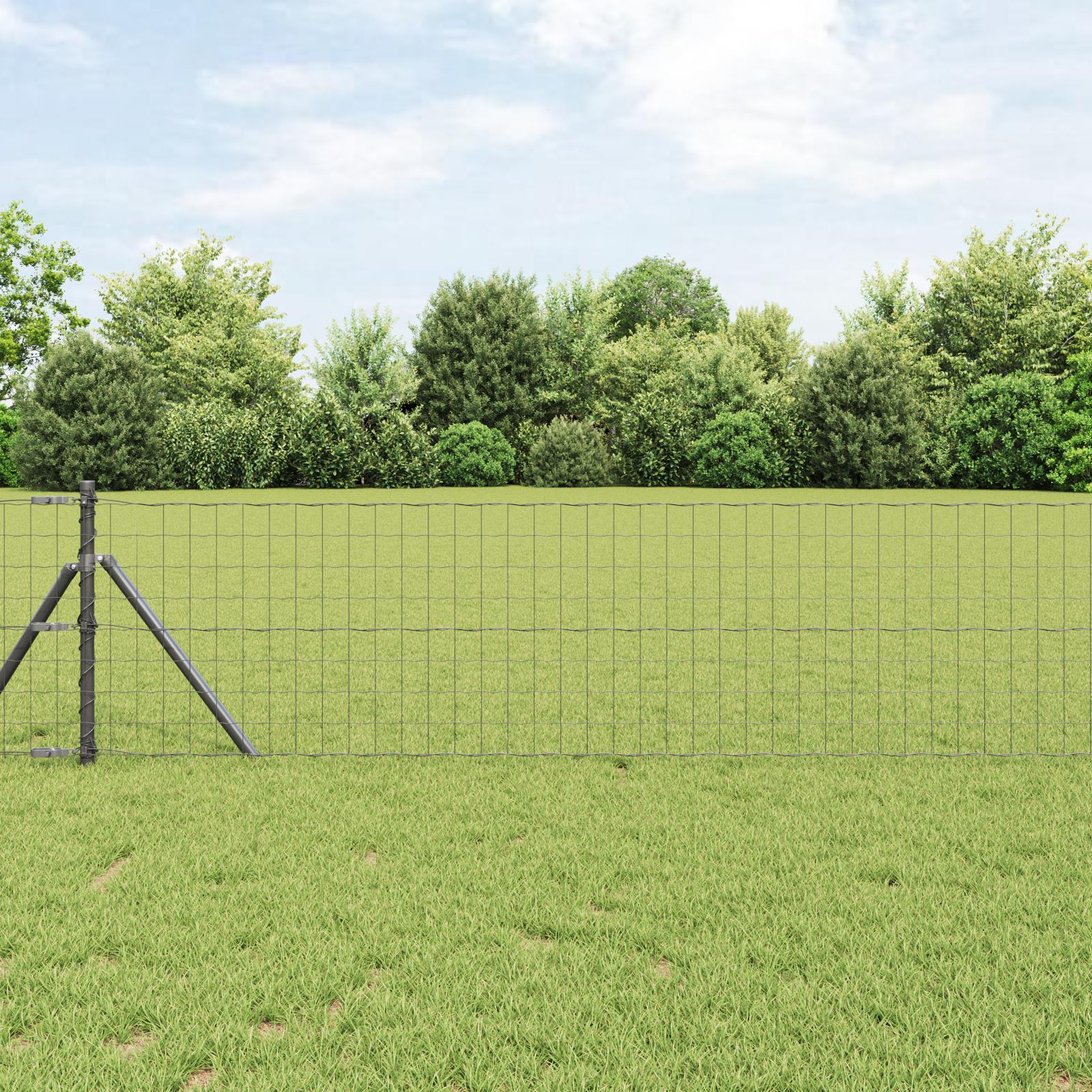 Euro hegn i grå 0,6 × 25 m - PVC-belagt jernnet