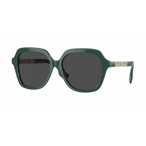 Solbriller til kvinder Burberry BE4389-405987-55 Ø 55 mm