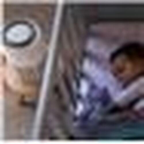 Philips AC0920/10 luftrenser - hvid