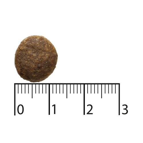 Bozita Purely hundefoder - kornfrit, rensdyr 2,5 kg