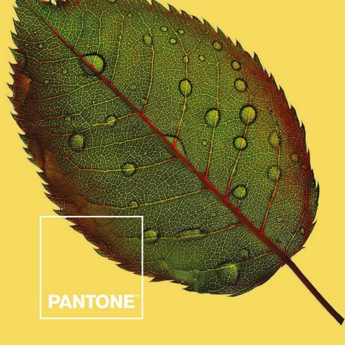 Nordisk cover Nature Pantone - UK super king size seng (260 x 220 cm)