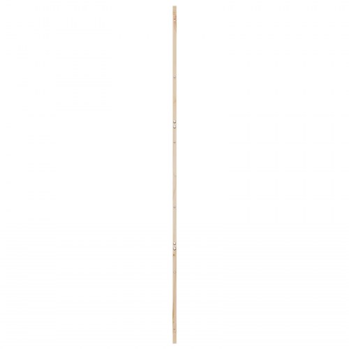 Ladeport Naturfarvet 100 x 208 cm Massivt fyrretræ