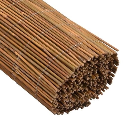 Bambushegn 500x100 cm