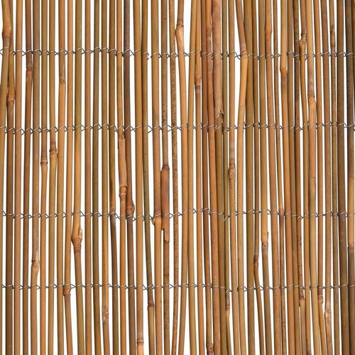 Bambushegn 500x100 cm