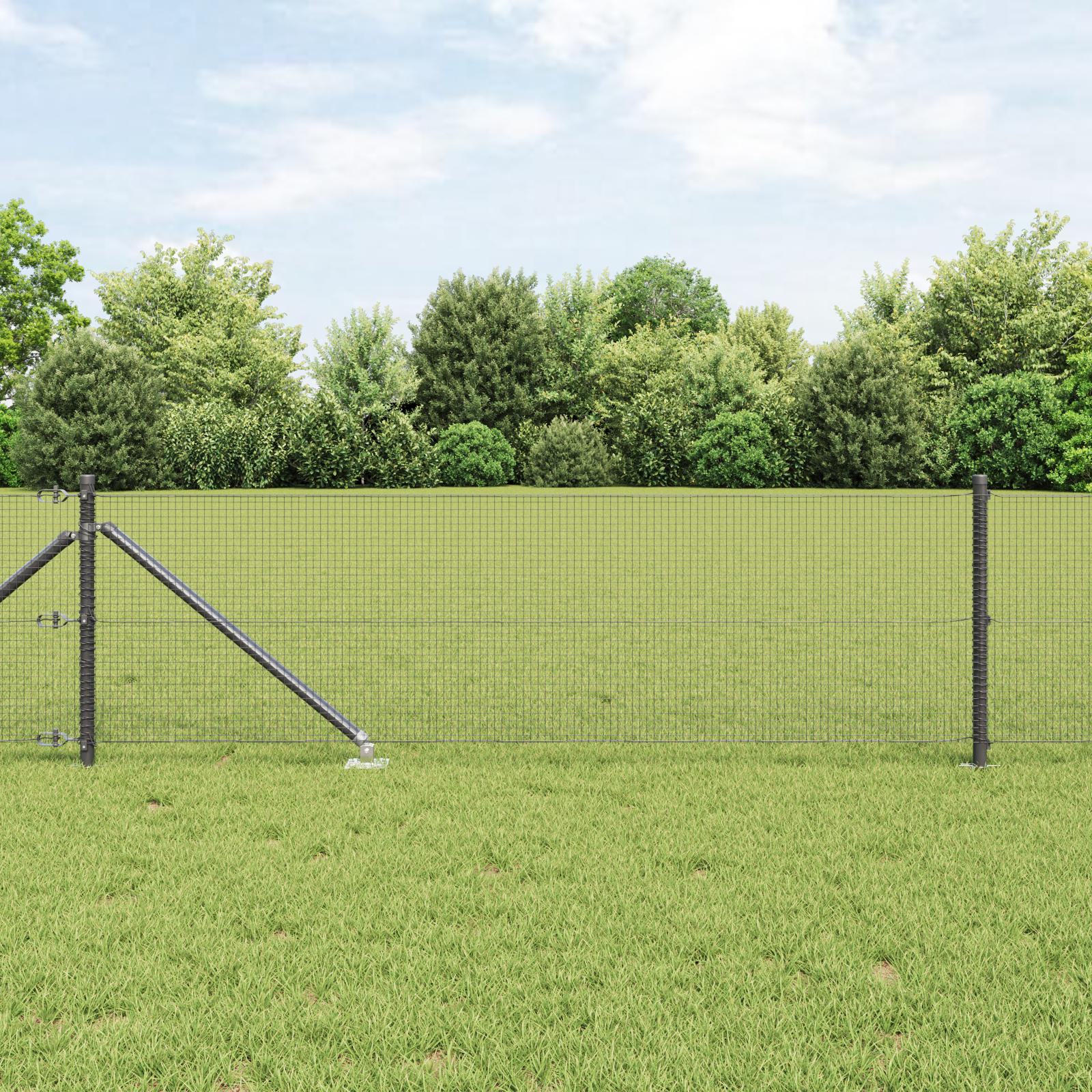 Svejset trådhegn med spidser - 50 × 0,8 m, PVC-belagt stål, grå