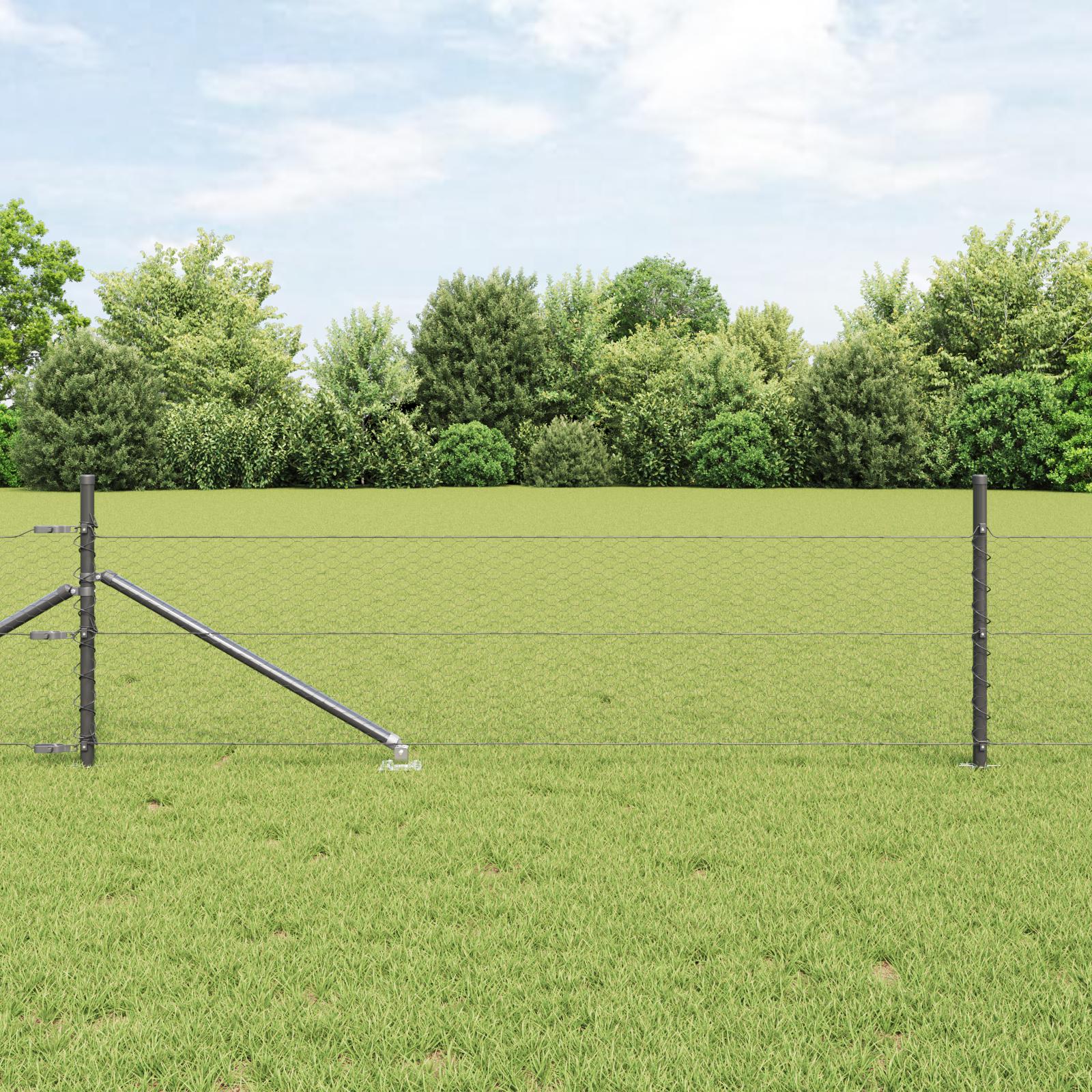 Svejset trådhegn 50 × 0,8 m med spidser - PVC-belagt stål, grå